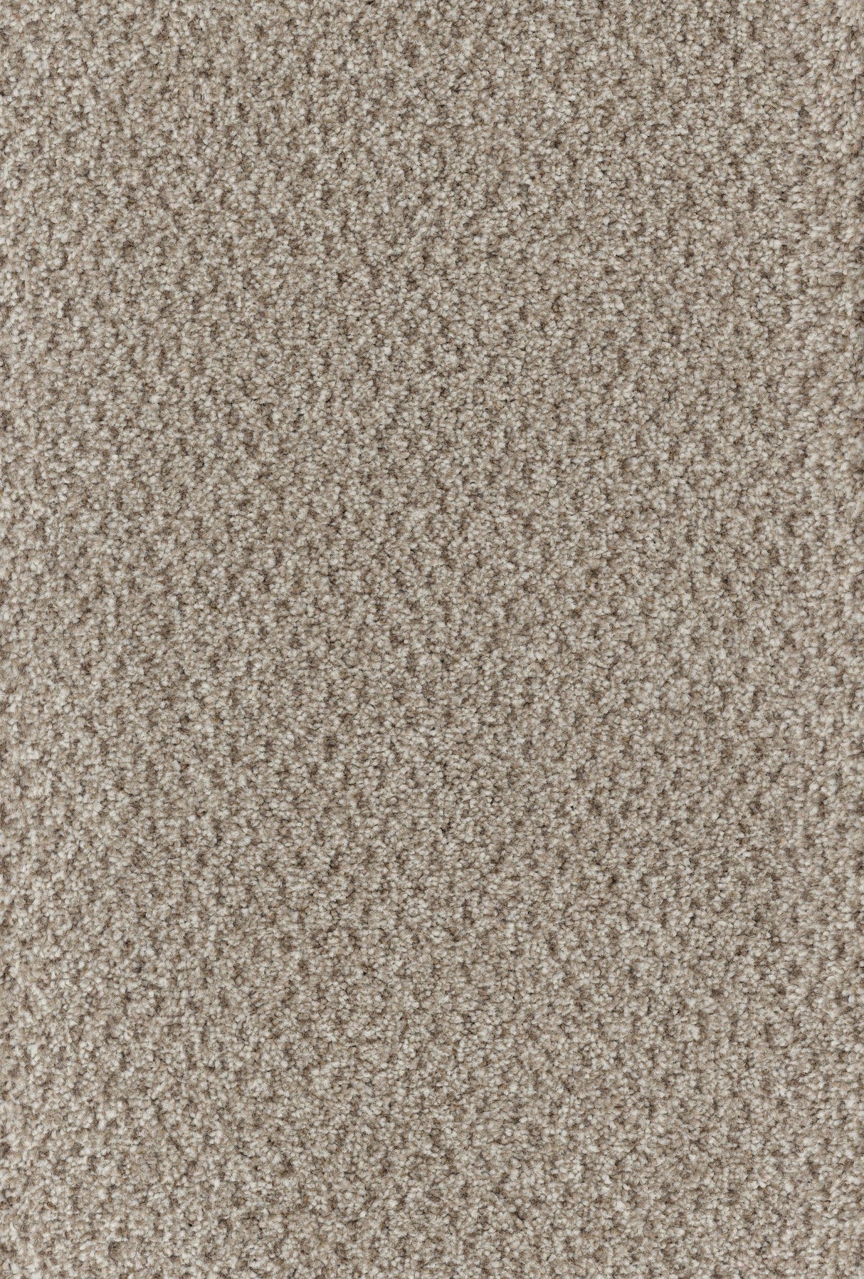 Trident Tweed Carpet
