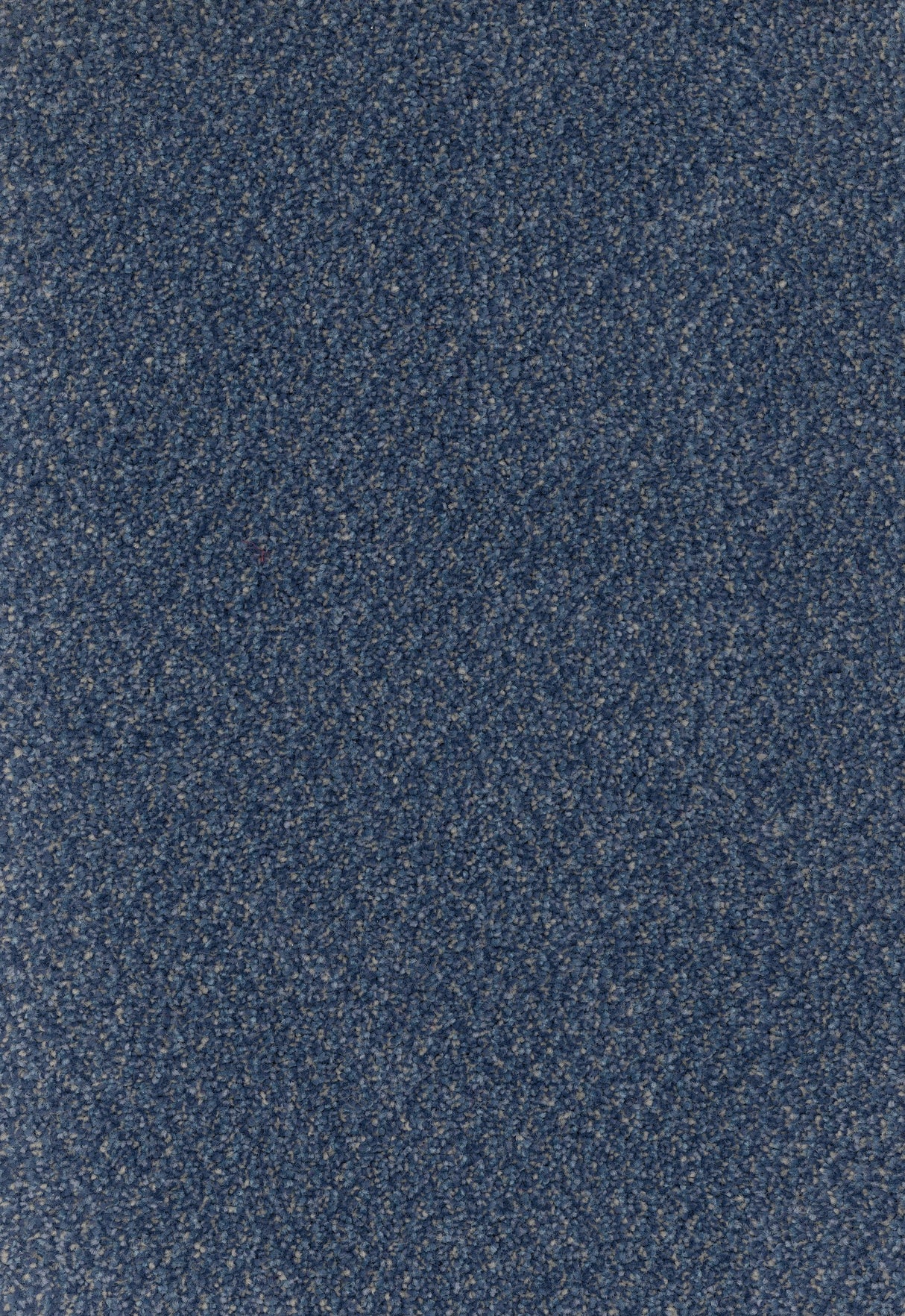 Furlongs Trident Tweed - Loch Inver Carpet – by Furlong Flooring – 1
