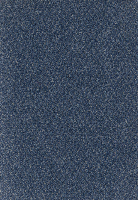 Furlongs Trident Tweed - Loch Inver Carpet – by Furlong Flooring – 1