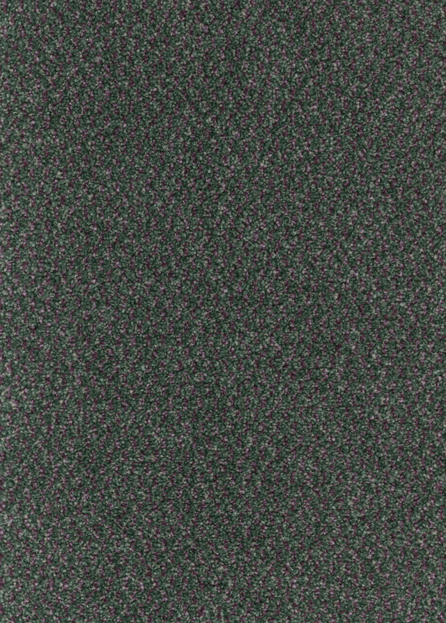 Furlongs Trident Tweed - Thistle Carpet – by Furlong Flooring – 1