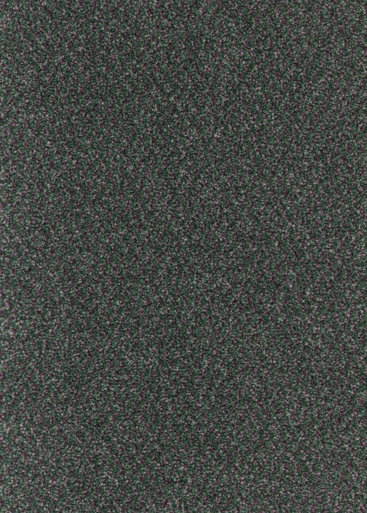 Trident Tweed Carpet