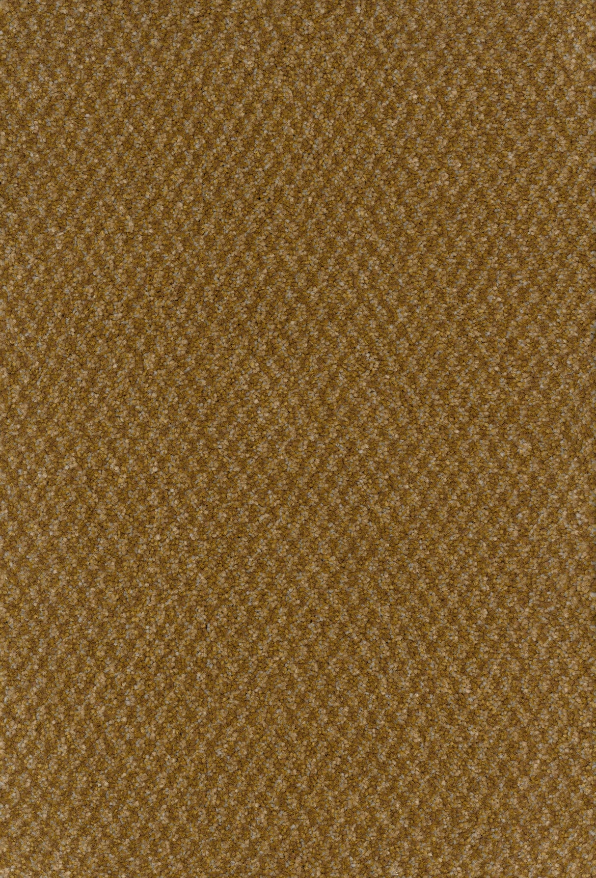 Furlongs Trident Tweed - Winter Barley Carpet – by Furlong Flooring – 1
