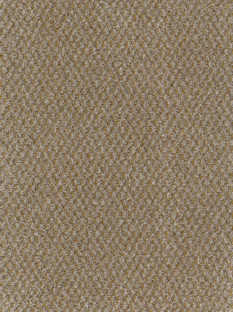 Furlongs Trident Tweed - Honey Mustard Carpet – by Furlong Flooring – 1