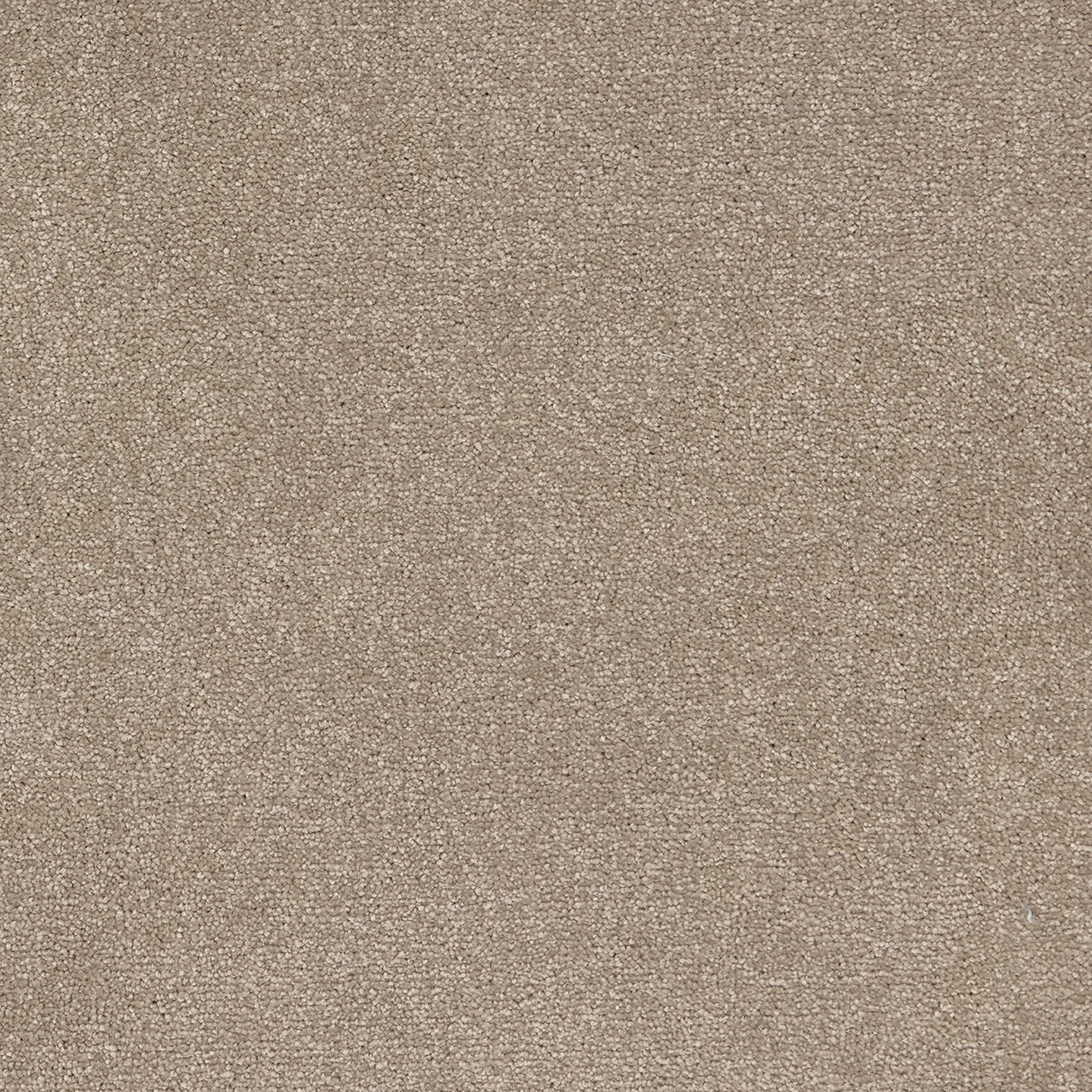 Trident Plains Carpet