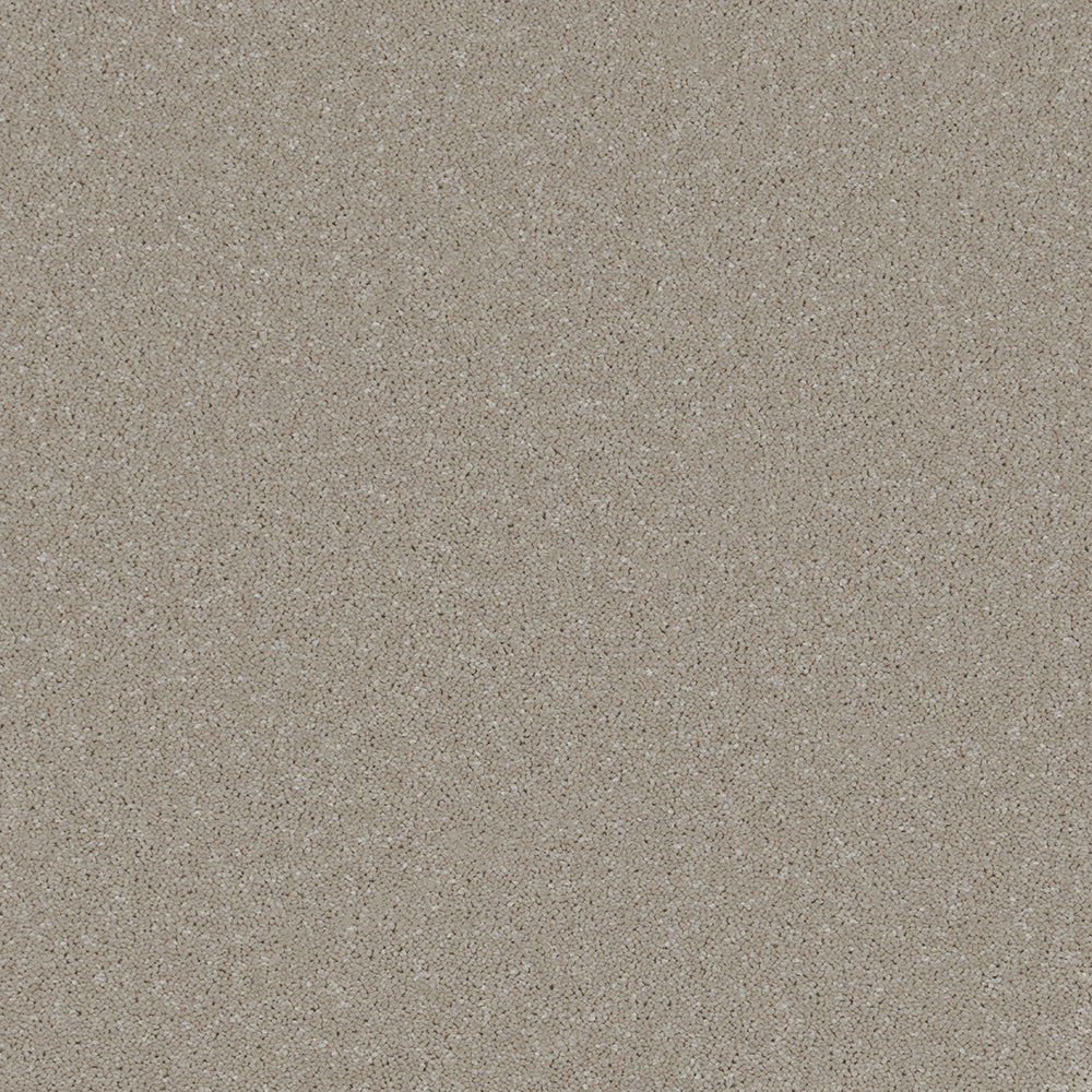 Trident Plains Carpet