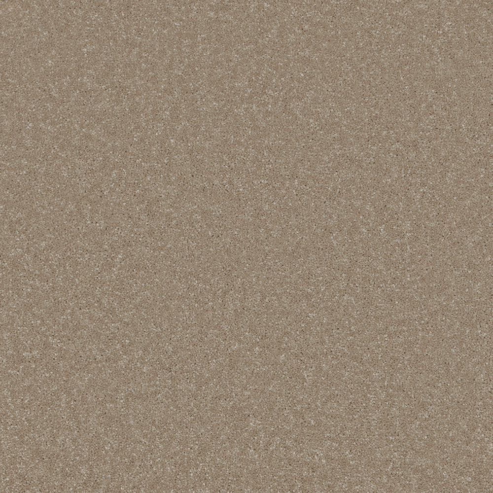 Trident Plains Carpet