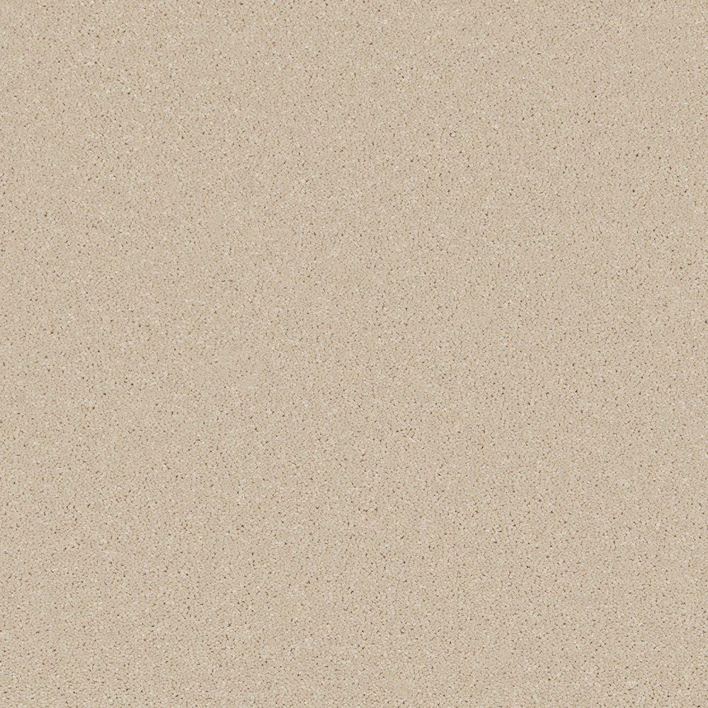 Trident Plains Carpet