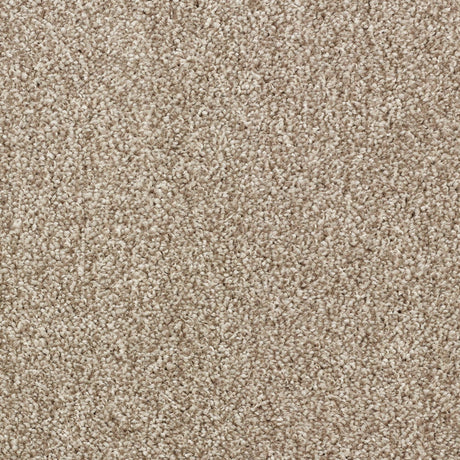 Abingdon Stainfree Affluence - Tuscan Carpet – by Abingdon Flooring – 1