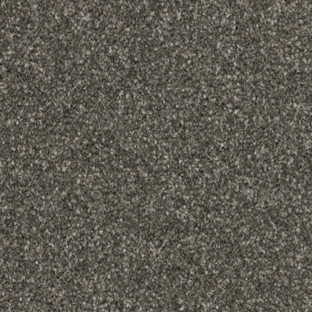 Twisty Touch Carpet