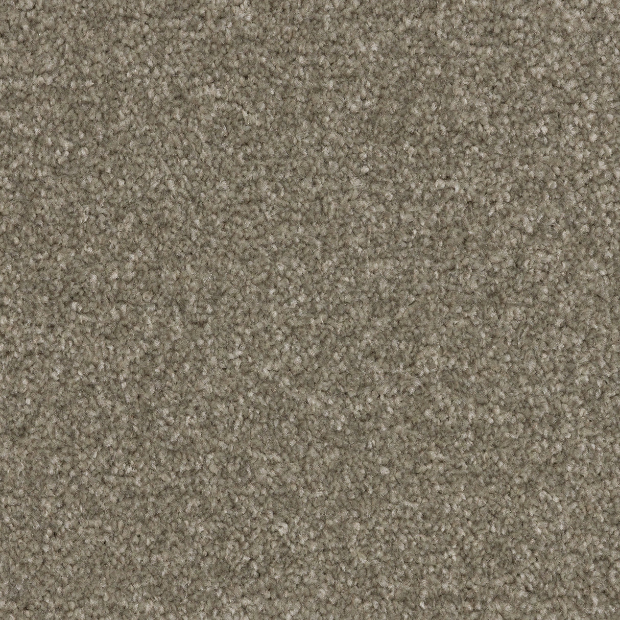 Twisty Touch Carpet