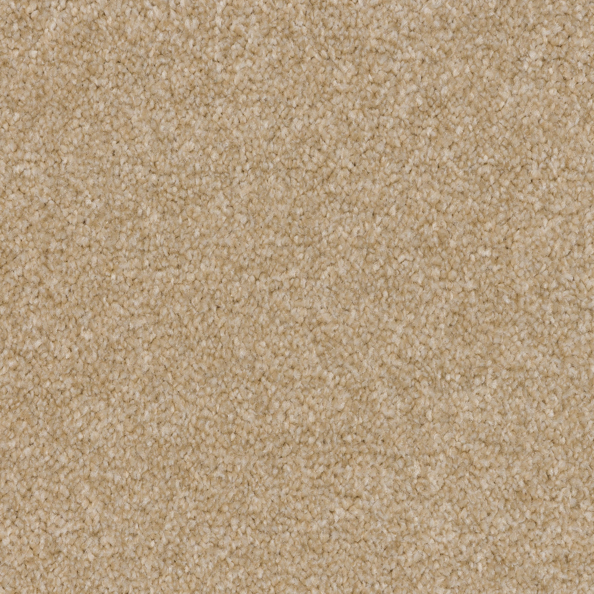 Twisty Touch Carpet