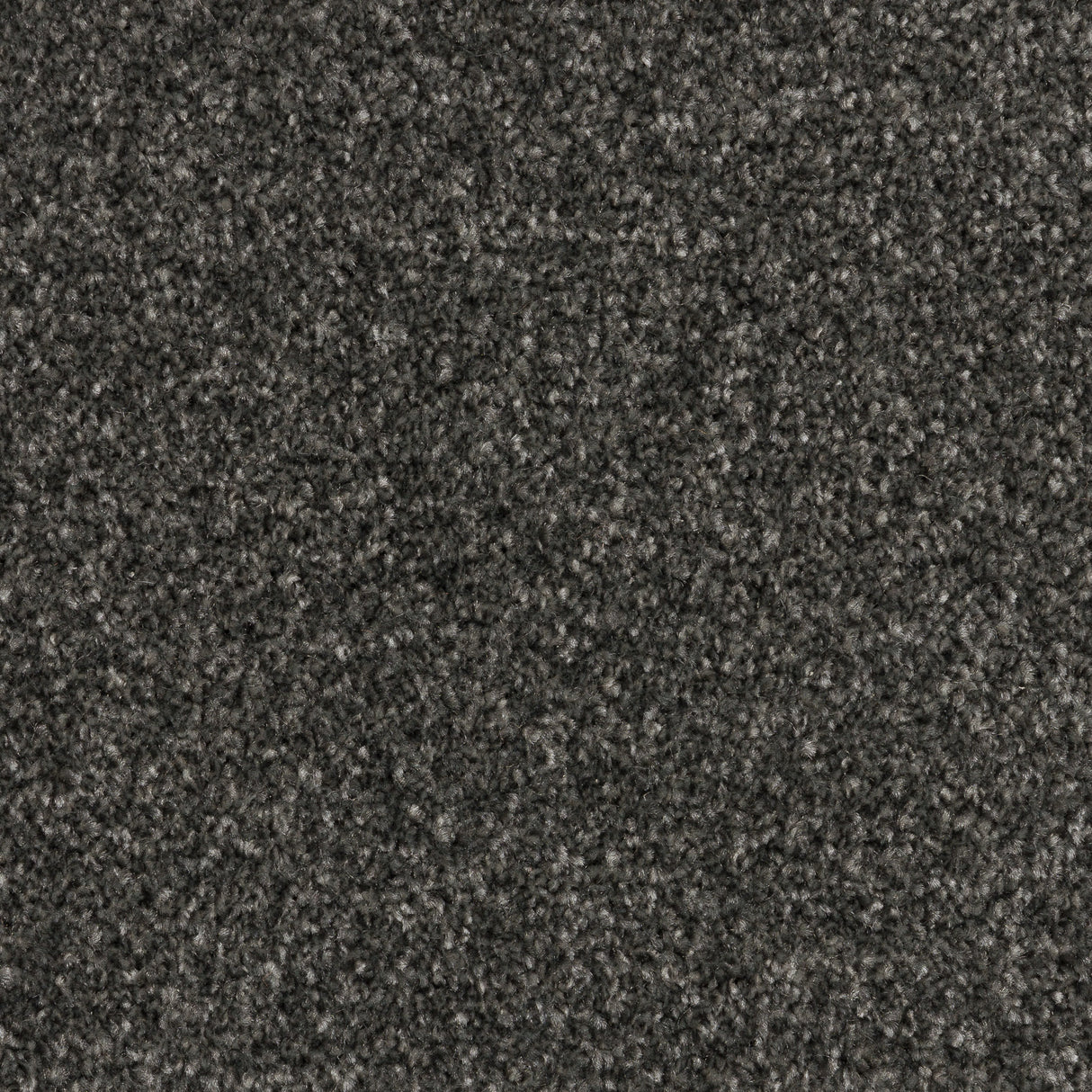 Twisty Touch Carpet