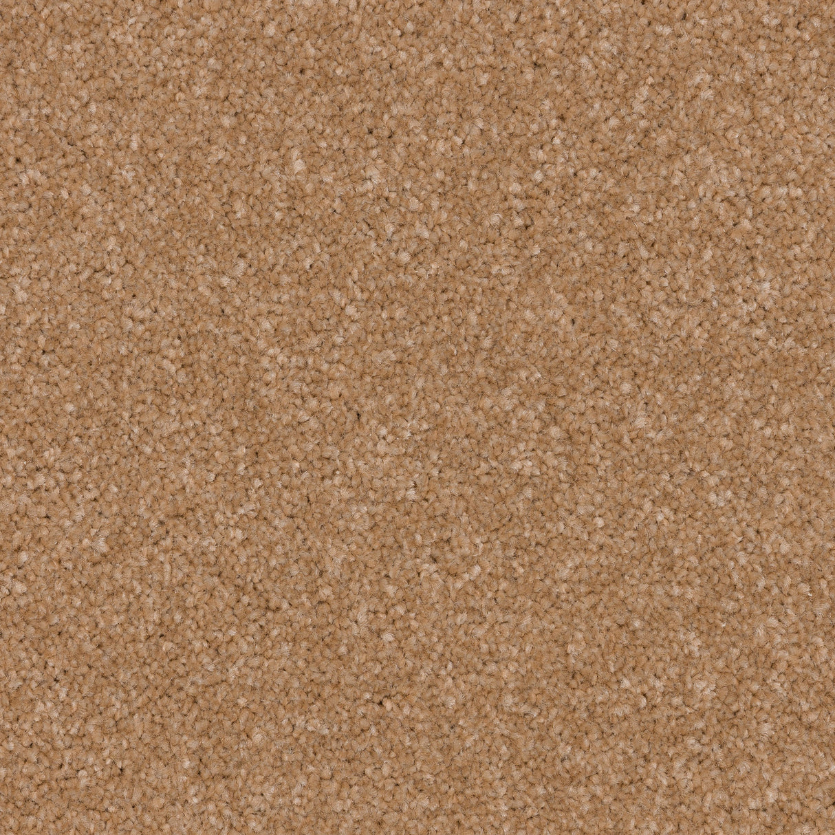 Twisty Touch Carpet