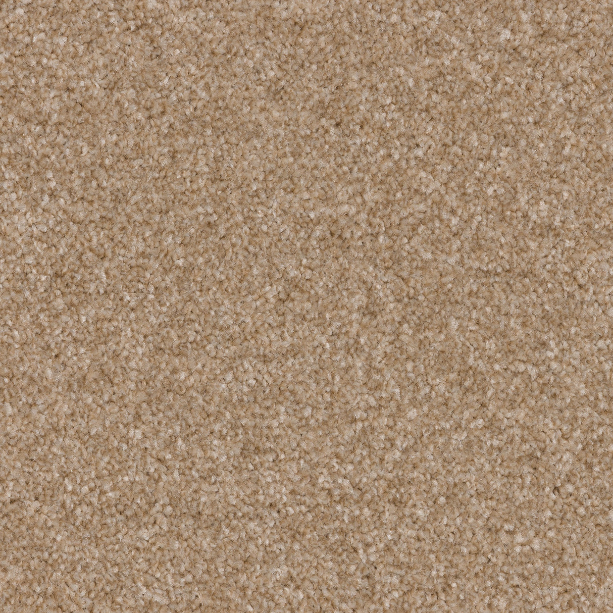 Twisty Touch Carpet