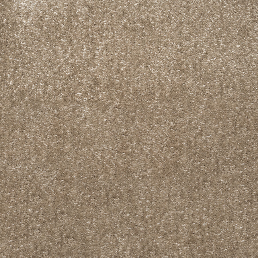 Balta Ultra Saxony - Salteed Mushroom Carpet – by Balta – 1