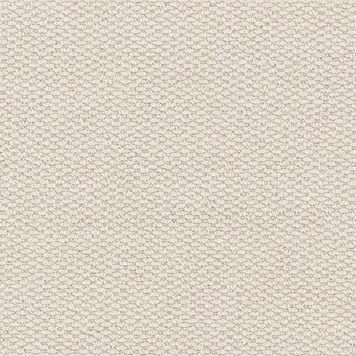 Furlongs Henley - Ammonite Carpet – by Furlong Flooring – 1