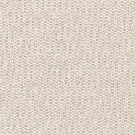 Furlongs Henley - Ammonite Carpet – by Furlong Flooring – 1