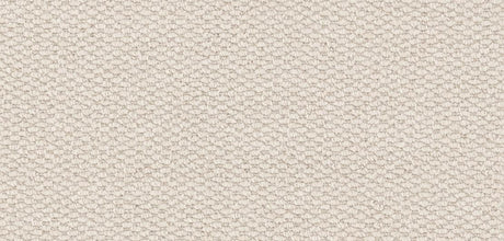 Furlongs Henley - Ammonite Carpet – by Furlong Flooring – 2