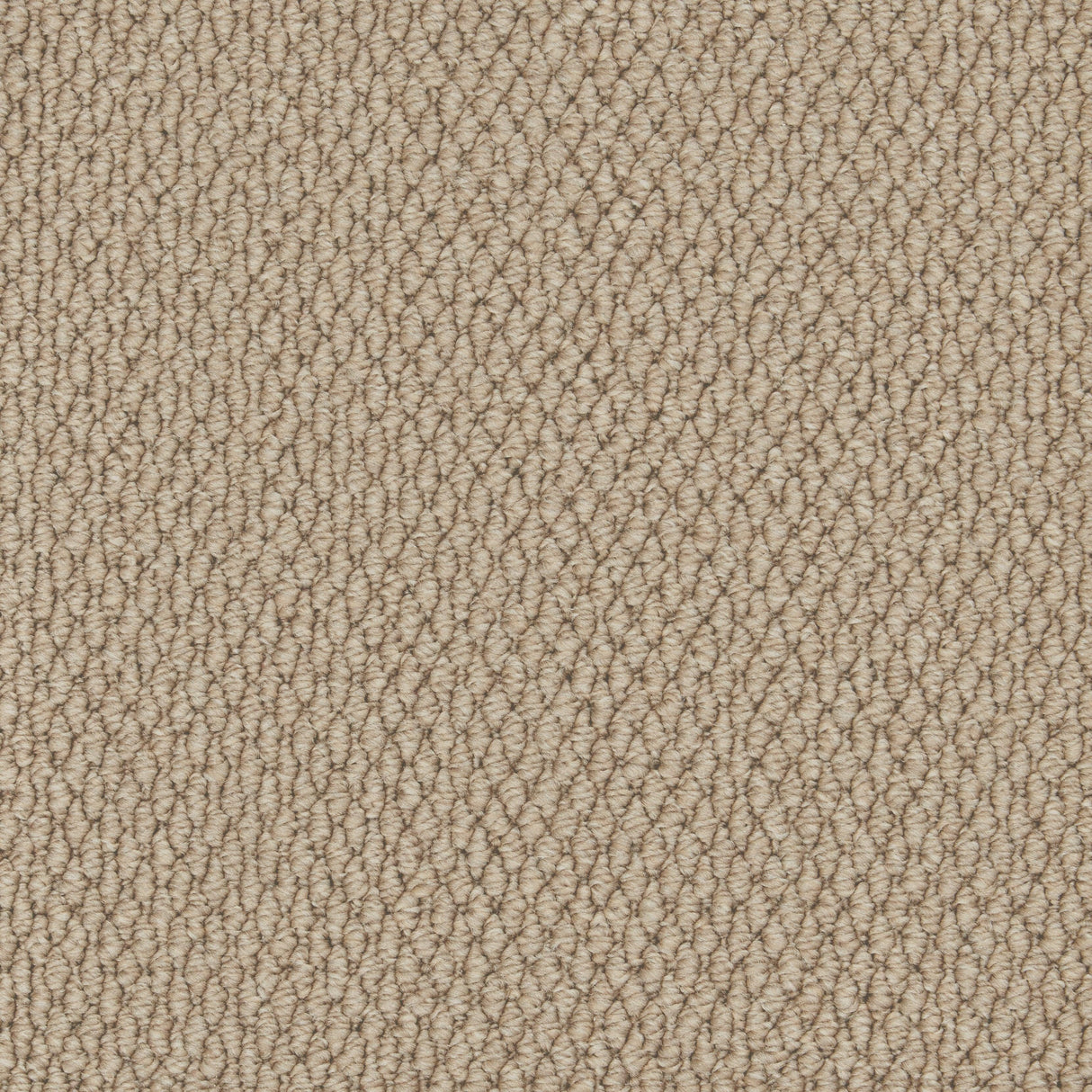 Cormar Primo Textures Weave - Elk Carpet – by Cormar Carpets – 1
