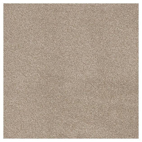 Furlongs Trident - Bathstone Carpet – by Furlong Flooring – 1