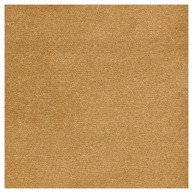 Furlongs Trident - Inca Gold Carpet – by Furlong Flooring – 1
