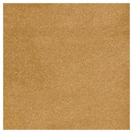 Furlongs Trident - Inca Gold Carpet – by Furlong Flooring – 1