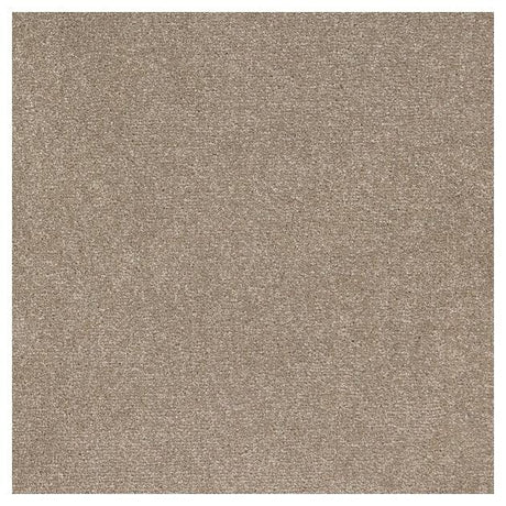 Furlongs Trident - Pebble Carpet – by Furlong Flooring – 1