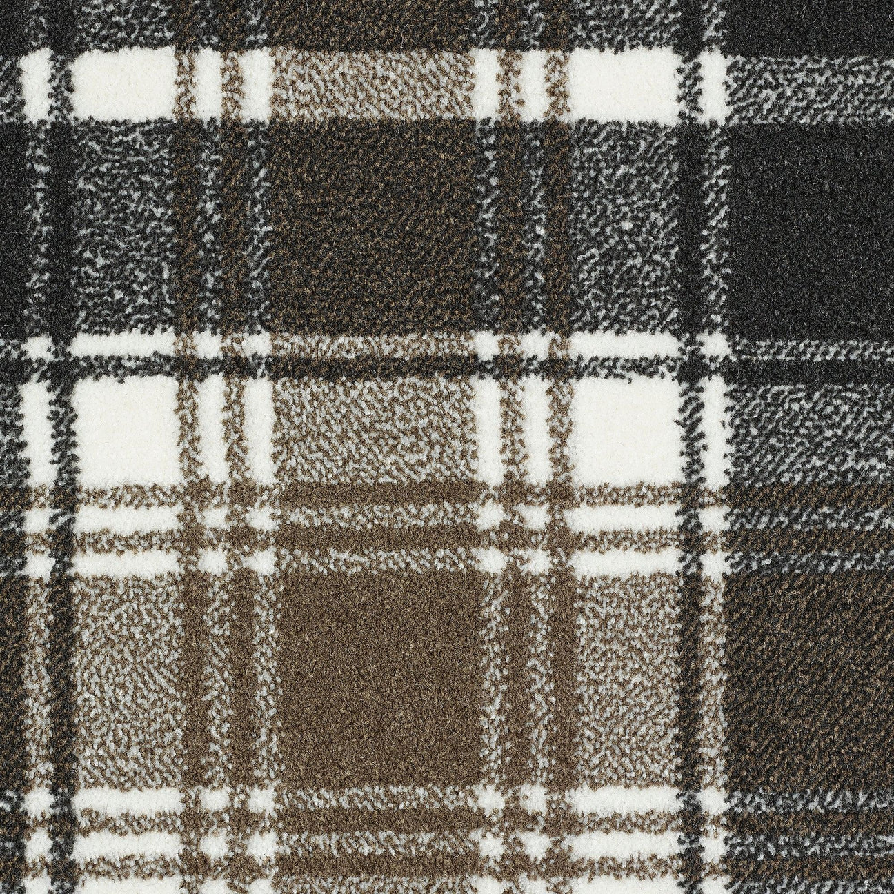 Patterned Carpet 