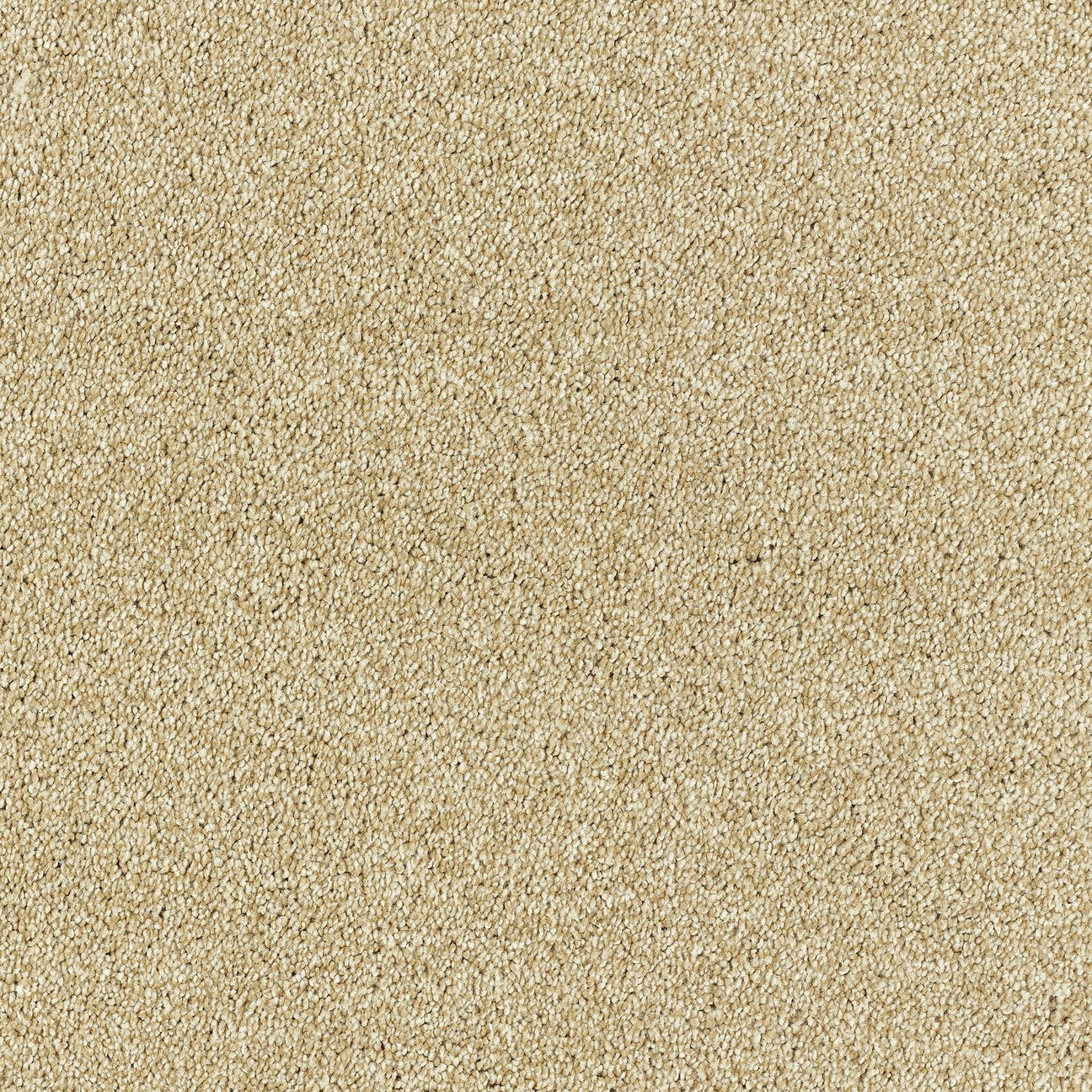 Deep Pile Carpet 