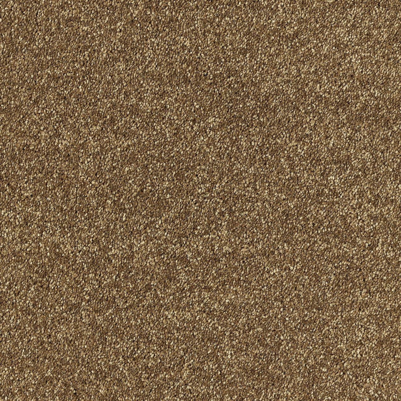 Brown Carpets 