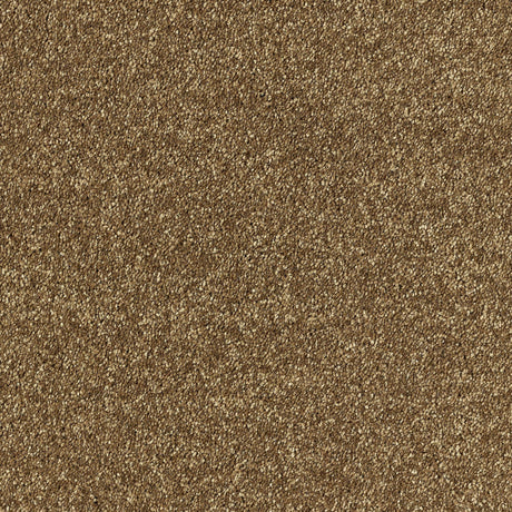Brown Carpets 