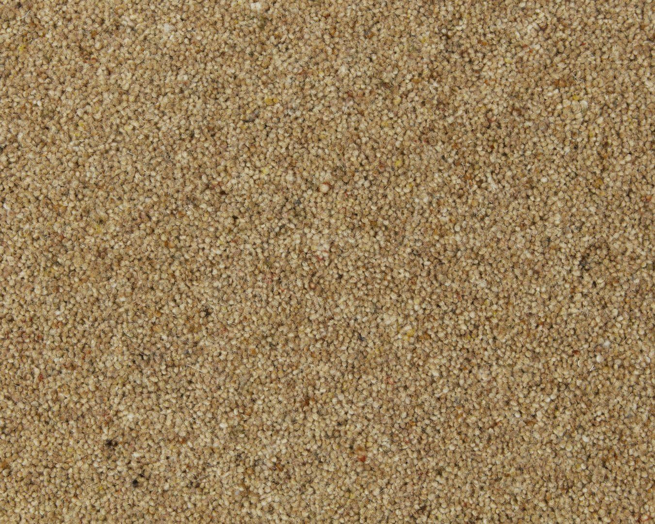 Twist Pile Carpet