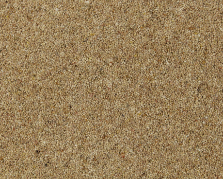 Twist Pile Carpet
