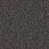 StainFree Rapport Twist Carpet
