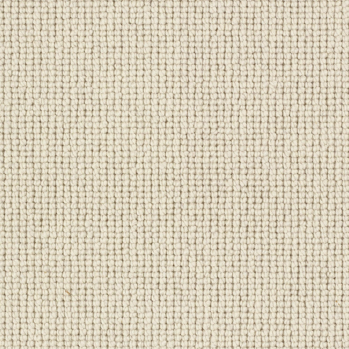 Charter Plain Loop Carpet