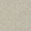 Charter Berber Loop Carpet