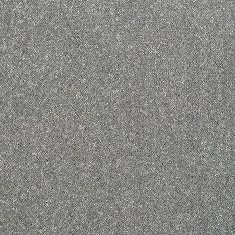 Abingdon Pure Elegance - Frosted Steel Carpet – by Abingdon Flooring – 1