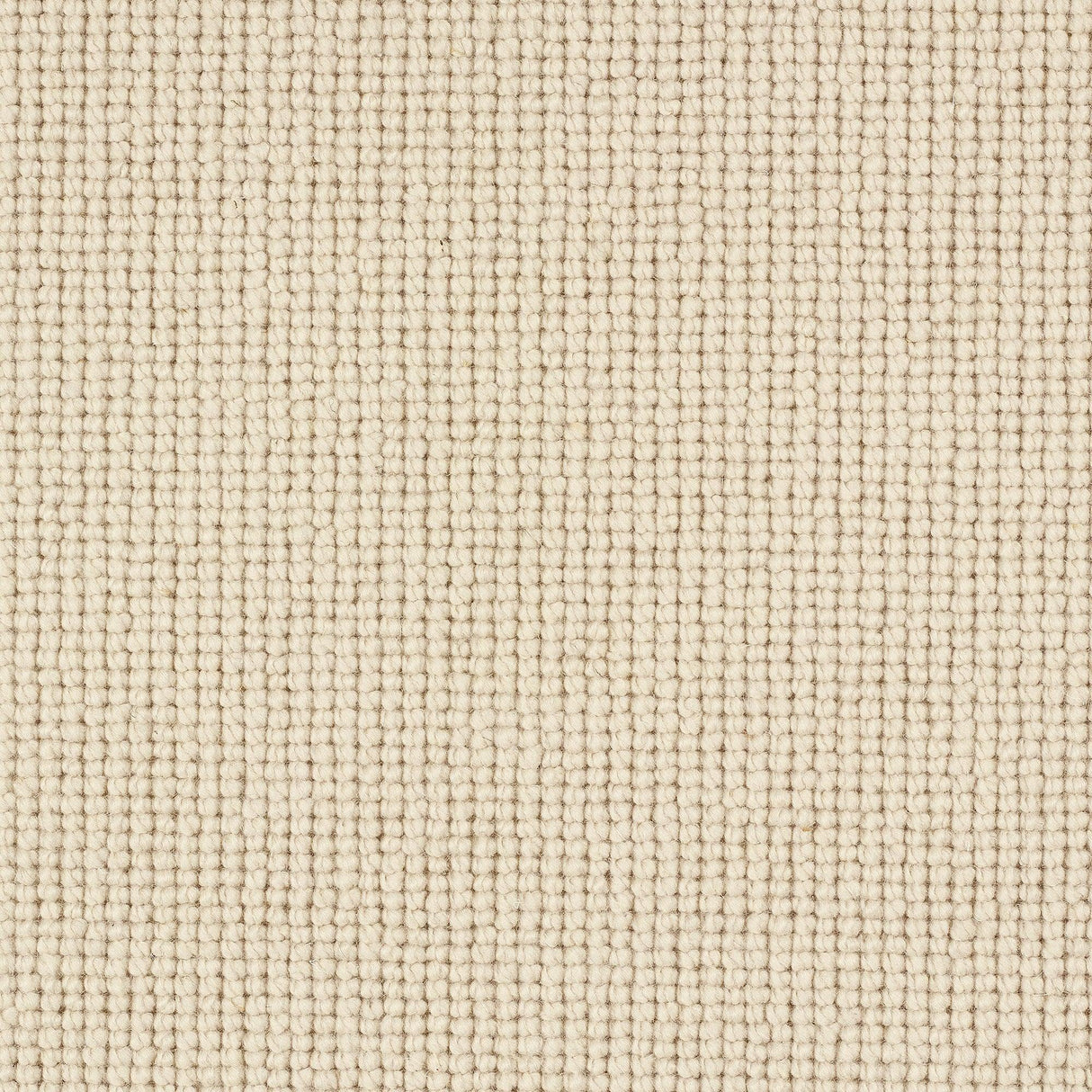 Charter Plain Loop Carpet