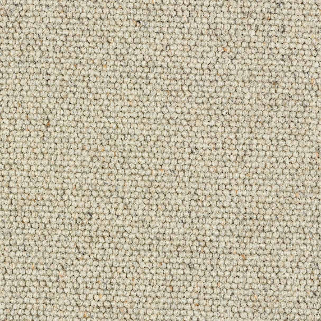 Abingdon Charter Berber Loop - Nutmeg Carpet