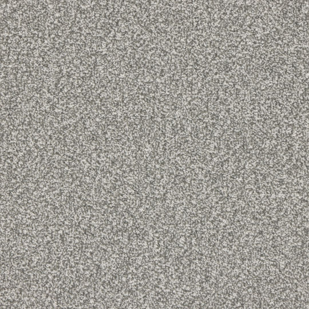 StainFree Rapport Twist Carpet