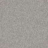 StainFree Rapport Twist Carpet