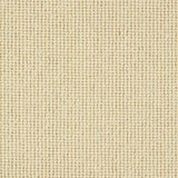 Charter Plain Loop Carpet