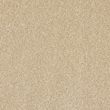 StainFree Rapport Twist Carpet