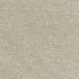 Abingdon Deep Feelings - Truffle Carpet