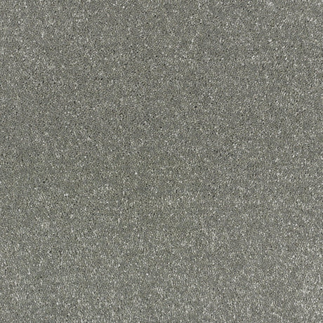 Abingdon Stainfree Satin Touch - Brocade Carpet – by Abingdon Flooring – 1
