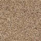 Abingdon Wild Silk - Cinnamon Carpet
