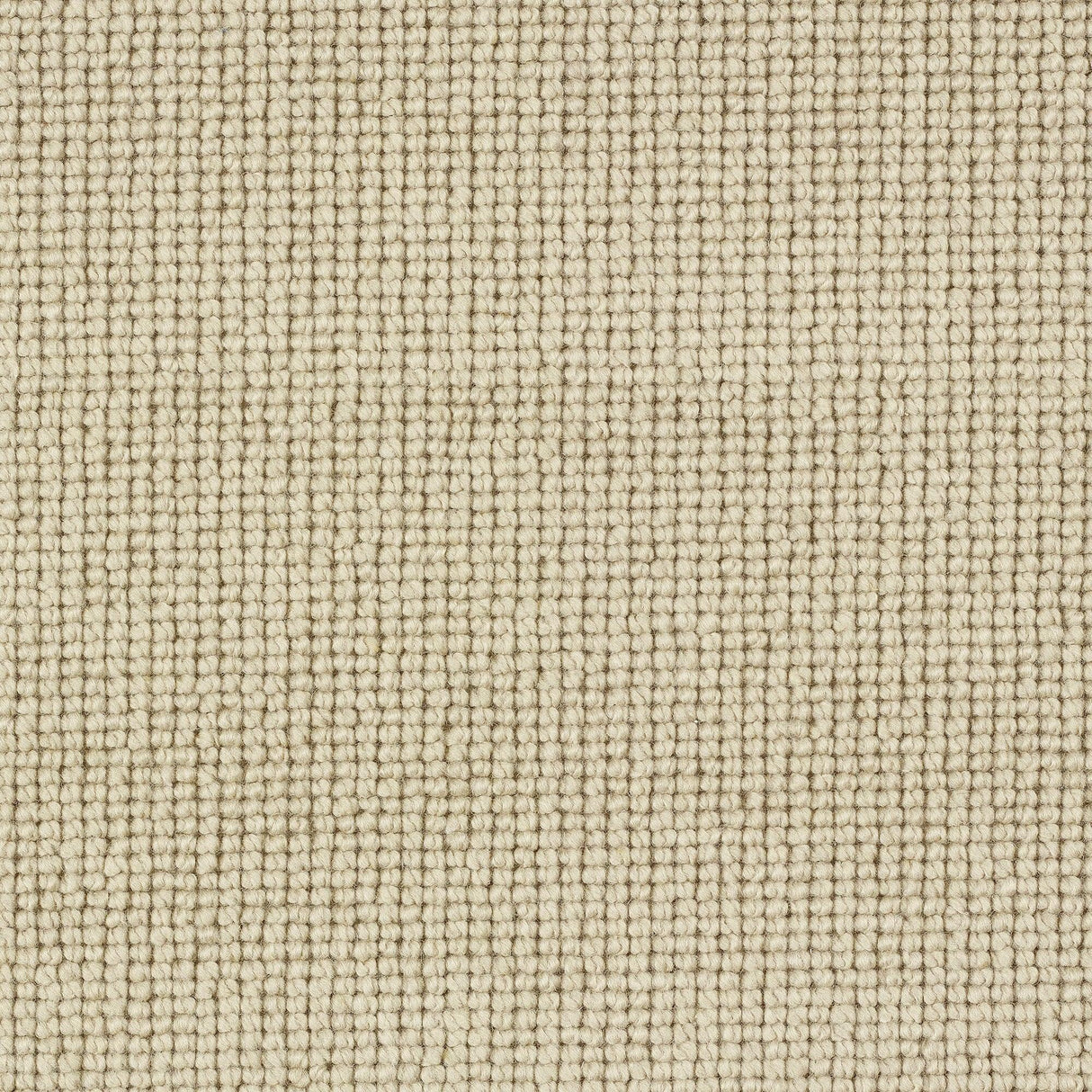 Charter Plain Loop Carpet