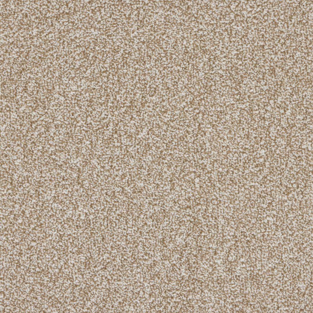 StainFree Rapport Twist Carpet