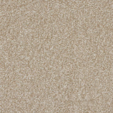 StainFree Rapport Twist Carpet