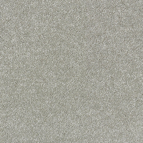 Abingdon Stainfree Satin Touch - Velvet Carpet – by Abingdon Flooring – 1